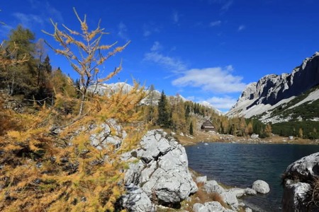Foto za Ensemble_ vir Turizem Bohinj