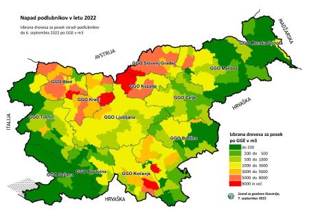 Poziv lastnikom gozda: povečana aktivnost podlubnikov v slovenskih gozdovih